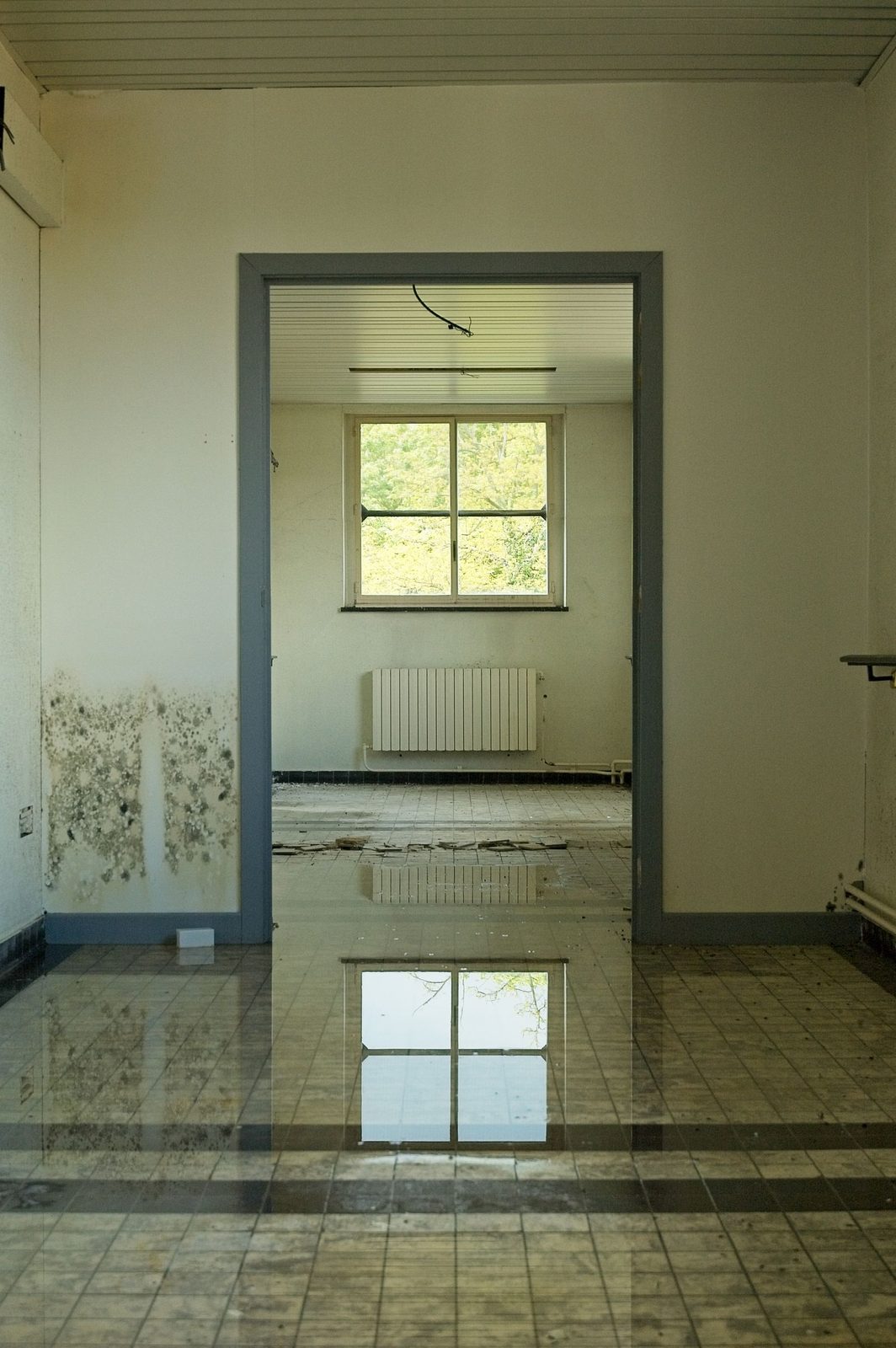 Standing water covering the floor of a room in Plano, TX